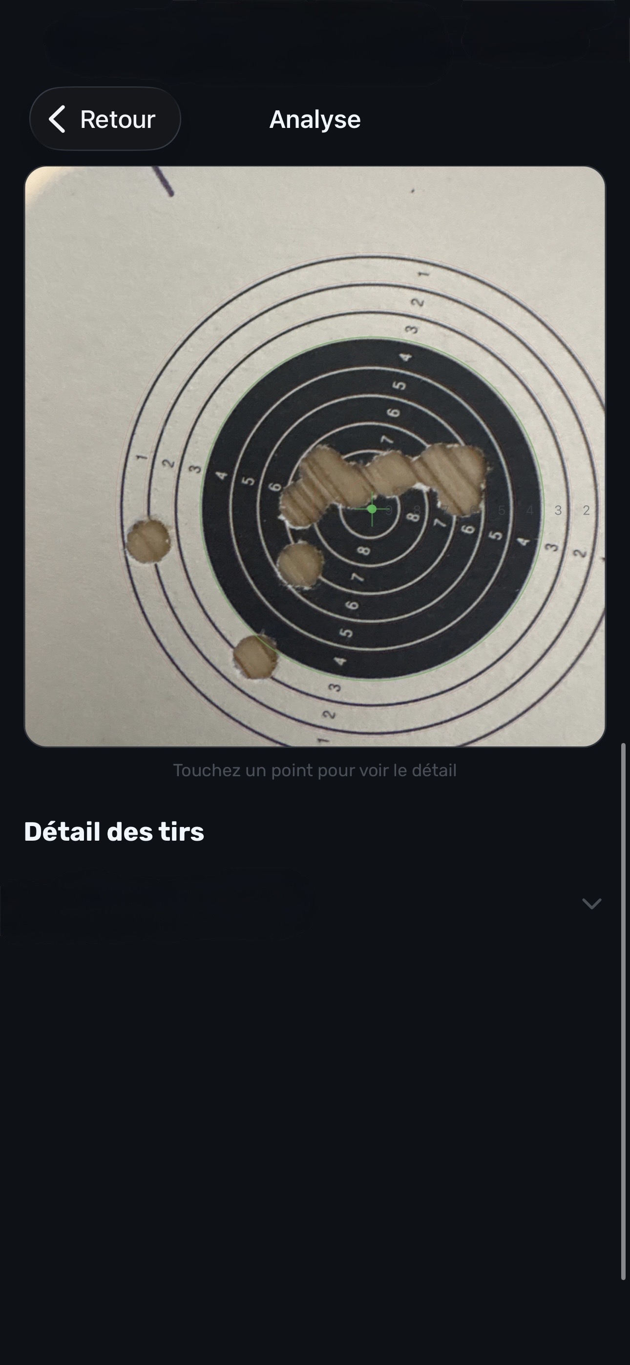 Target before analysis